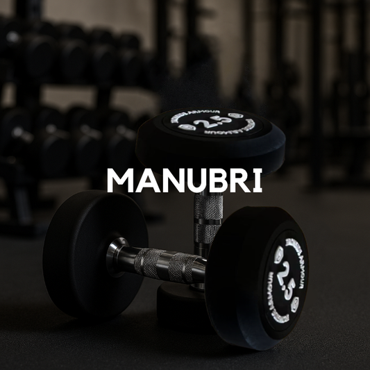 MANUBRI