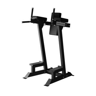 Dip & Leg Raise Station - Pro Series