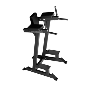 Dip & Leg Raise Station - Pro Series