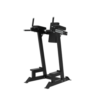 Dip & Leg Raise Station - Pro Series