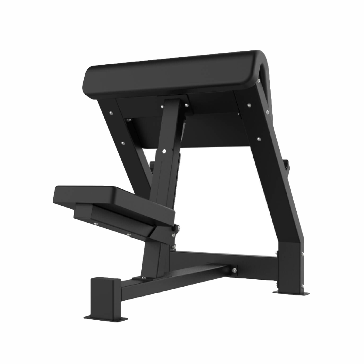 Scott Bench - Pro Series