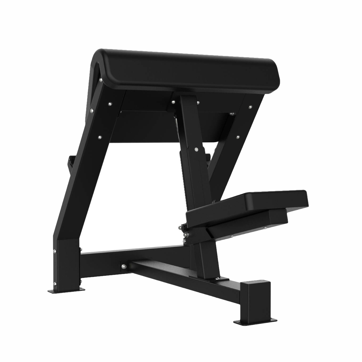 Scott Bench - Pro Series